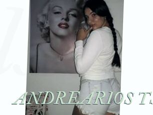 ANDREARIOS_TS