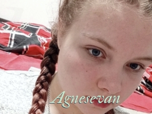 Agnesevan