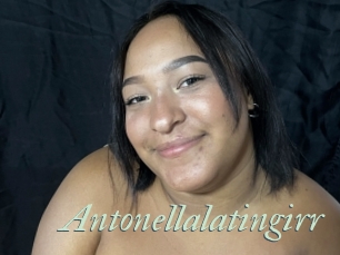 Antonellalatingirr