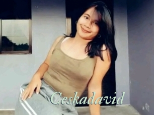 Ceskadavid