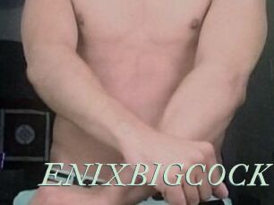 ENIXBIGCOCK