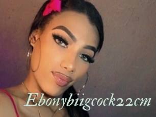 Ebonybiigcock22cm