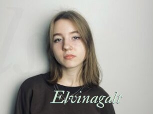 Elvinagalt