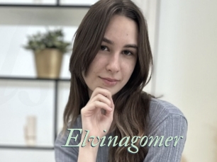 Elvinagomer