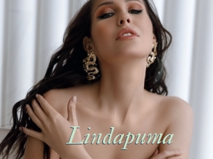 Lindapuma