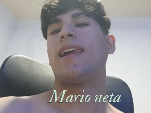 Mario_neta