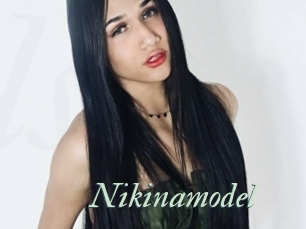 Nikinamodel