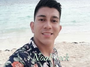 Noah_cock