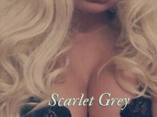 Scarlet_Grey