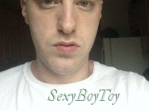 SexyBoyToy