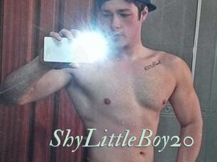 ShyLittleBoy20