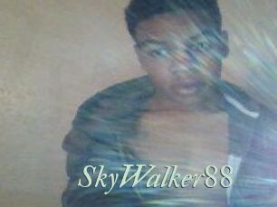 SkyWalker88