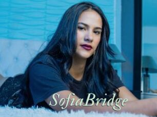 SofiaBridge