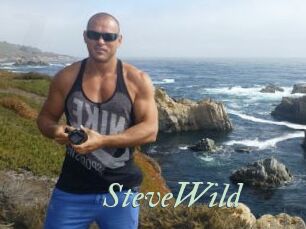 Steve_Wild