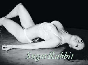 SugarRabbit