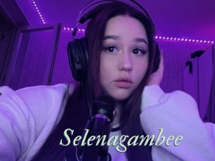 Selenagambee