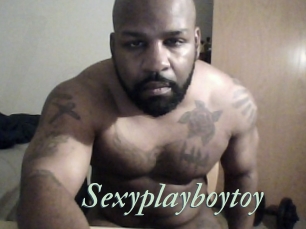 Sexyplayboytoy