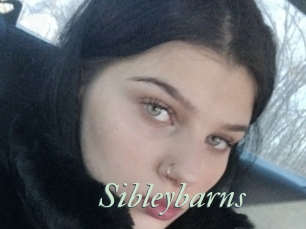 Sibleybarns