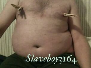 Slaveboy3164