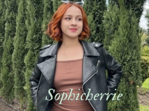 Sophicherrie