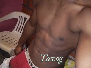 Tavog